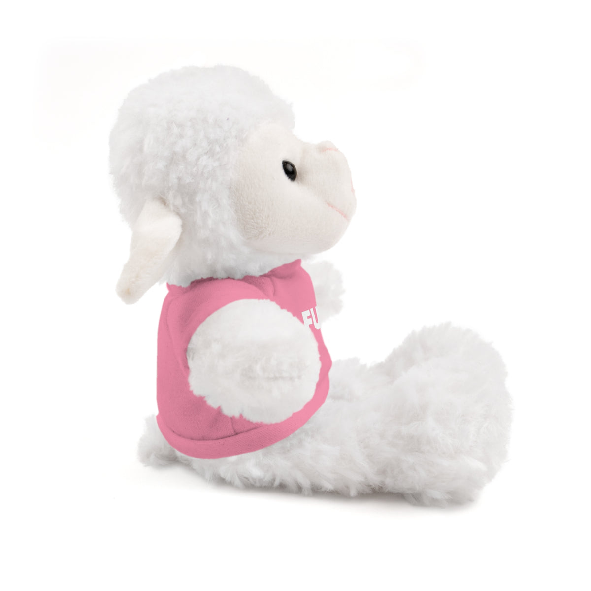Plush Bear with #Fukiswrongwitchu Cancer Tee