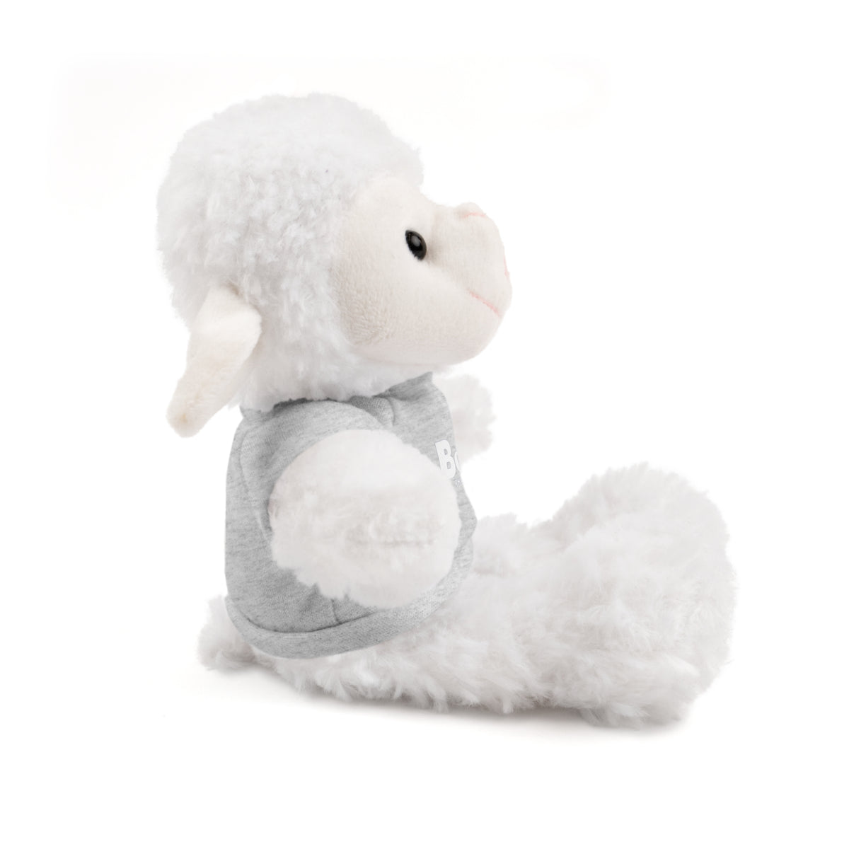 Plush Bear with Box 29 Tee
