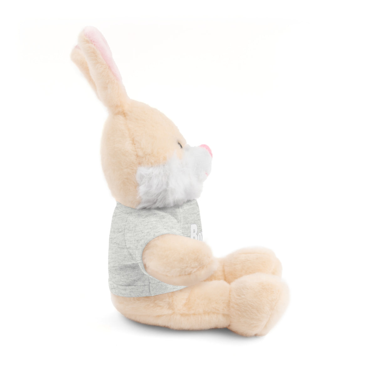 Plush Bear with Box 29 Tee