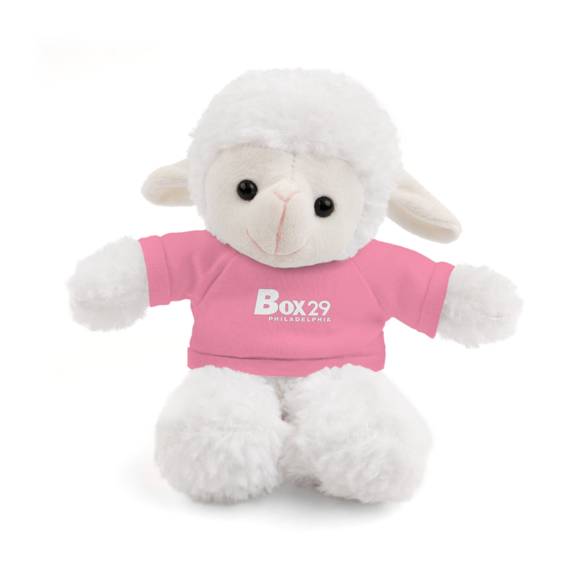 Plush Bear with Box 29 Tee