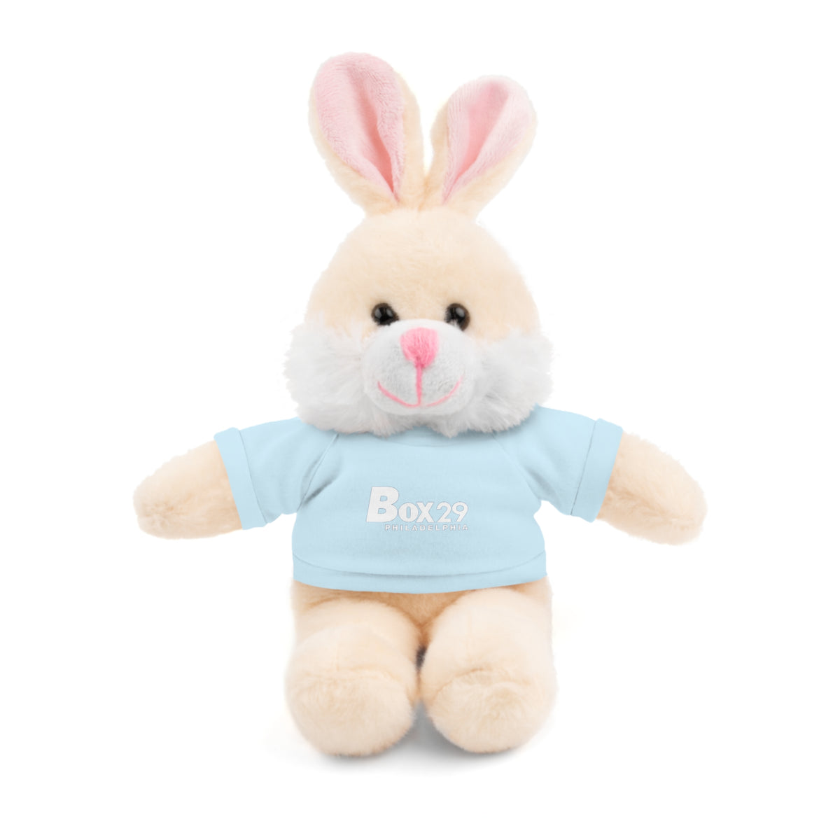 Plush Bear with Box 29 Tee