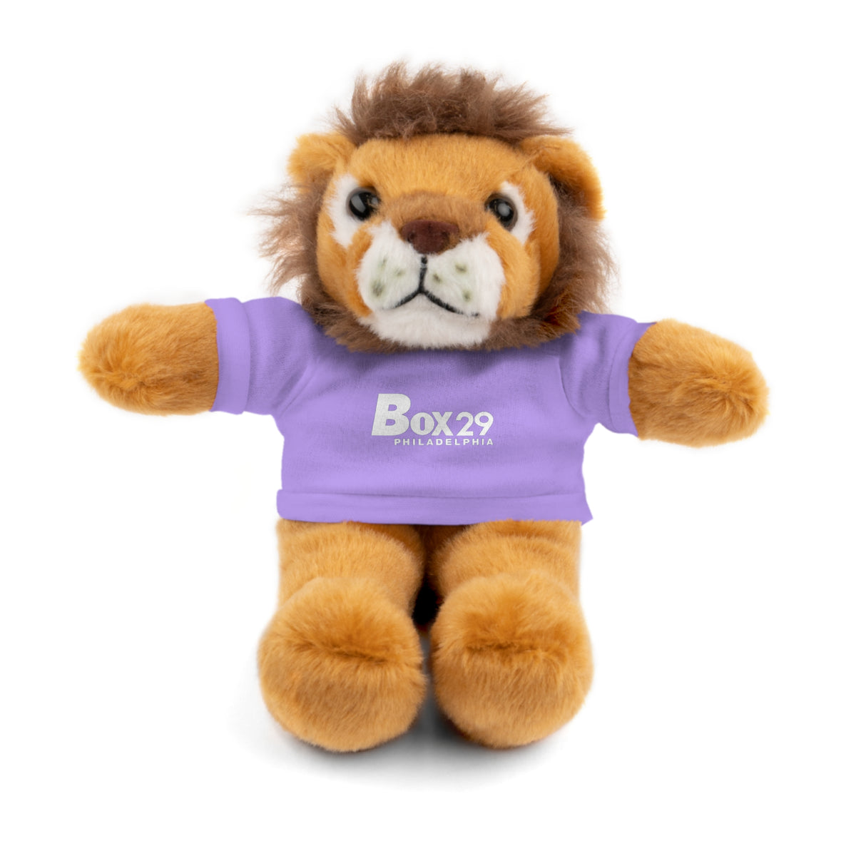 Plush Bear with Box 29 Tee