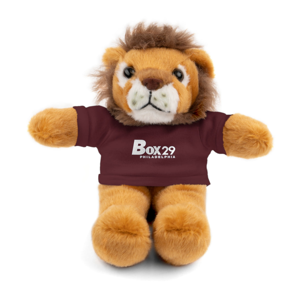 Plush Bear with Box 29 Tee