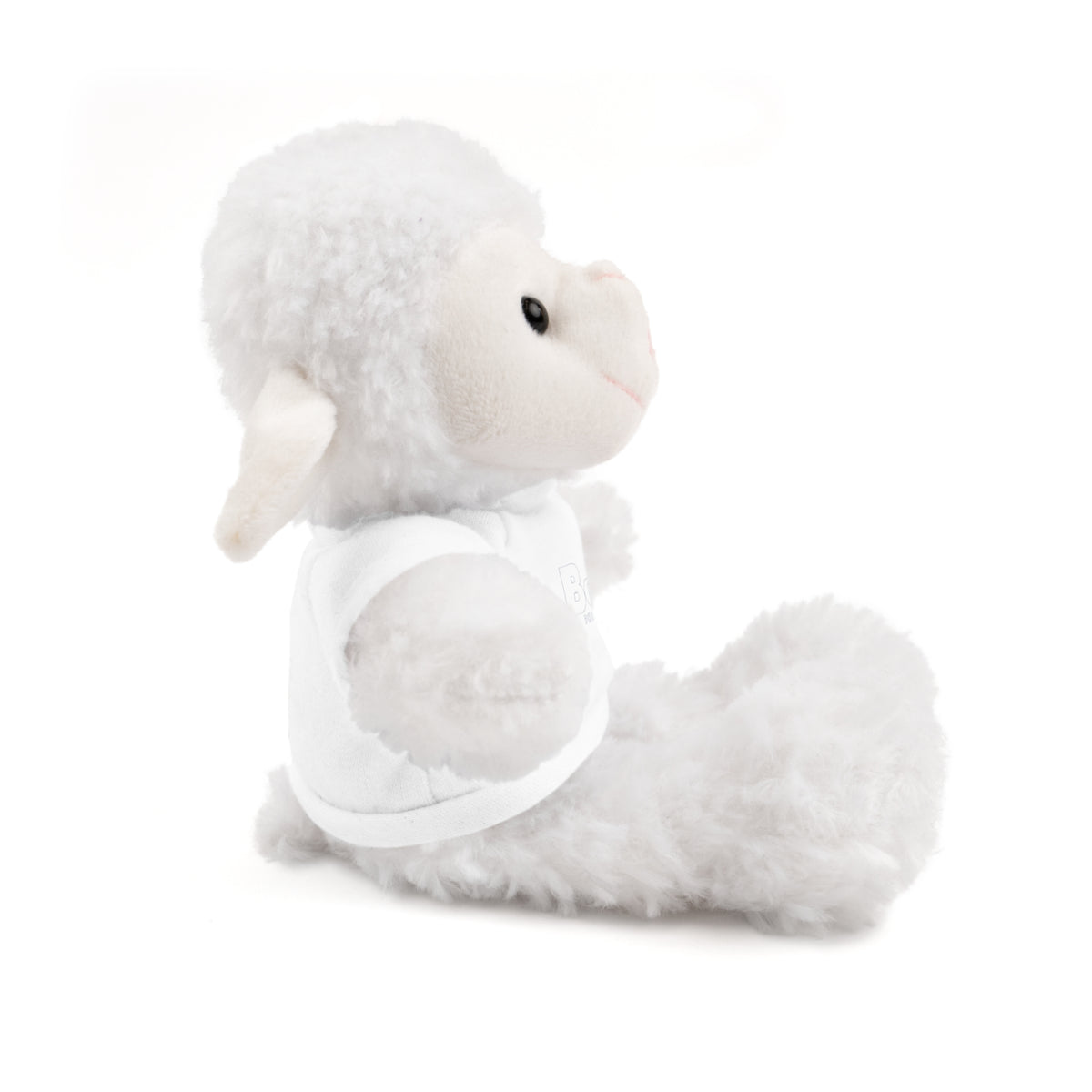 Plush Bear with Box 29 Tee