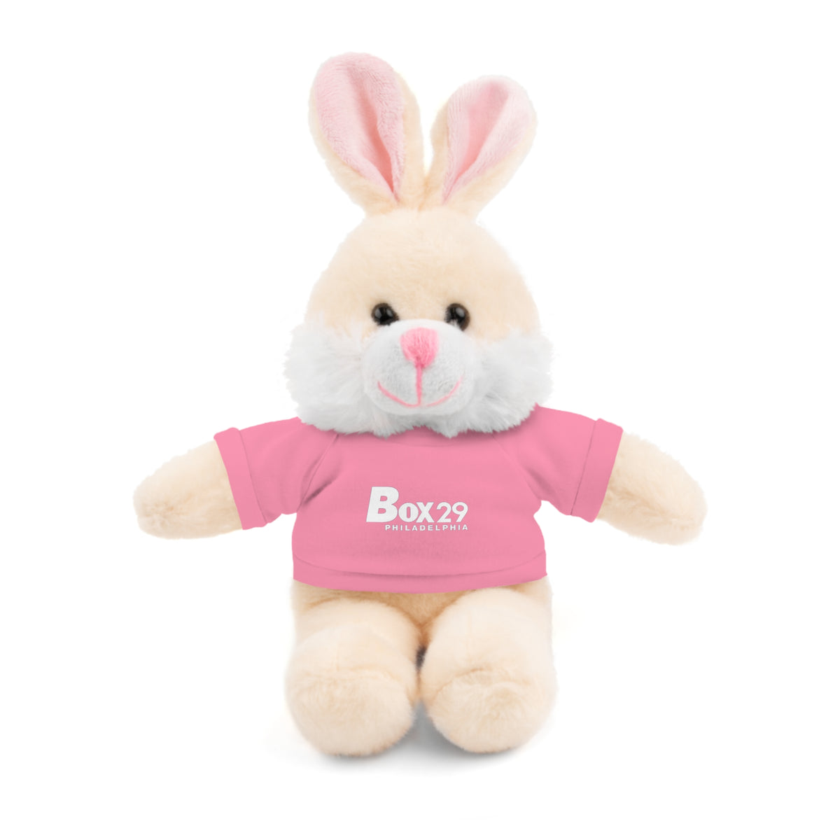 Plush Bear with Box 29 Tee
