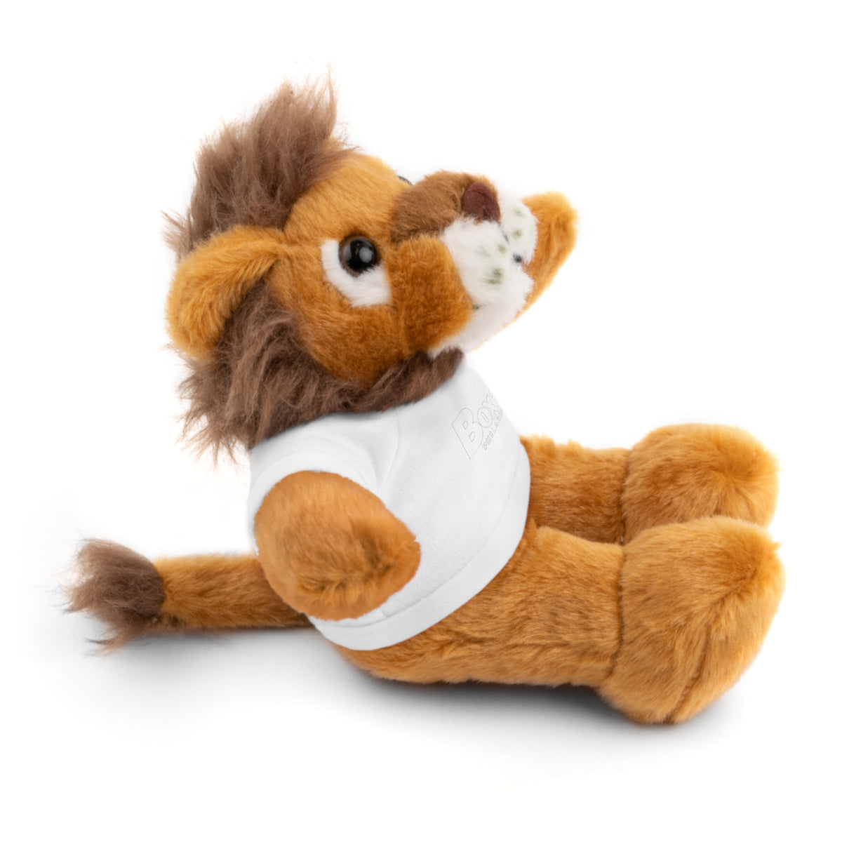 Plush Bear with Box 29 Tee