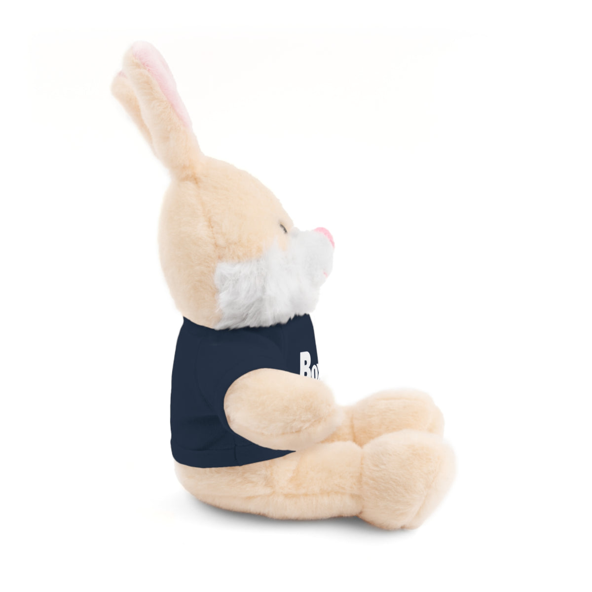 Plush Bear with Box 29 Tee