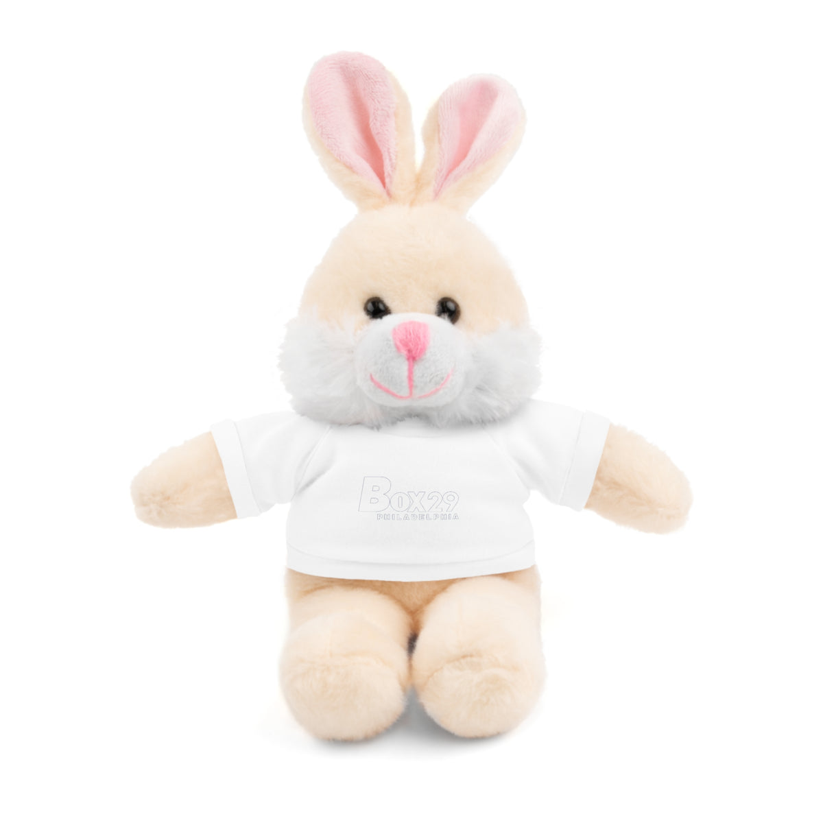 Plush Bear with Box 29 Tee