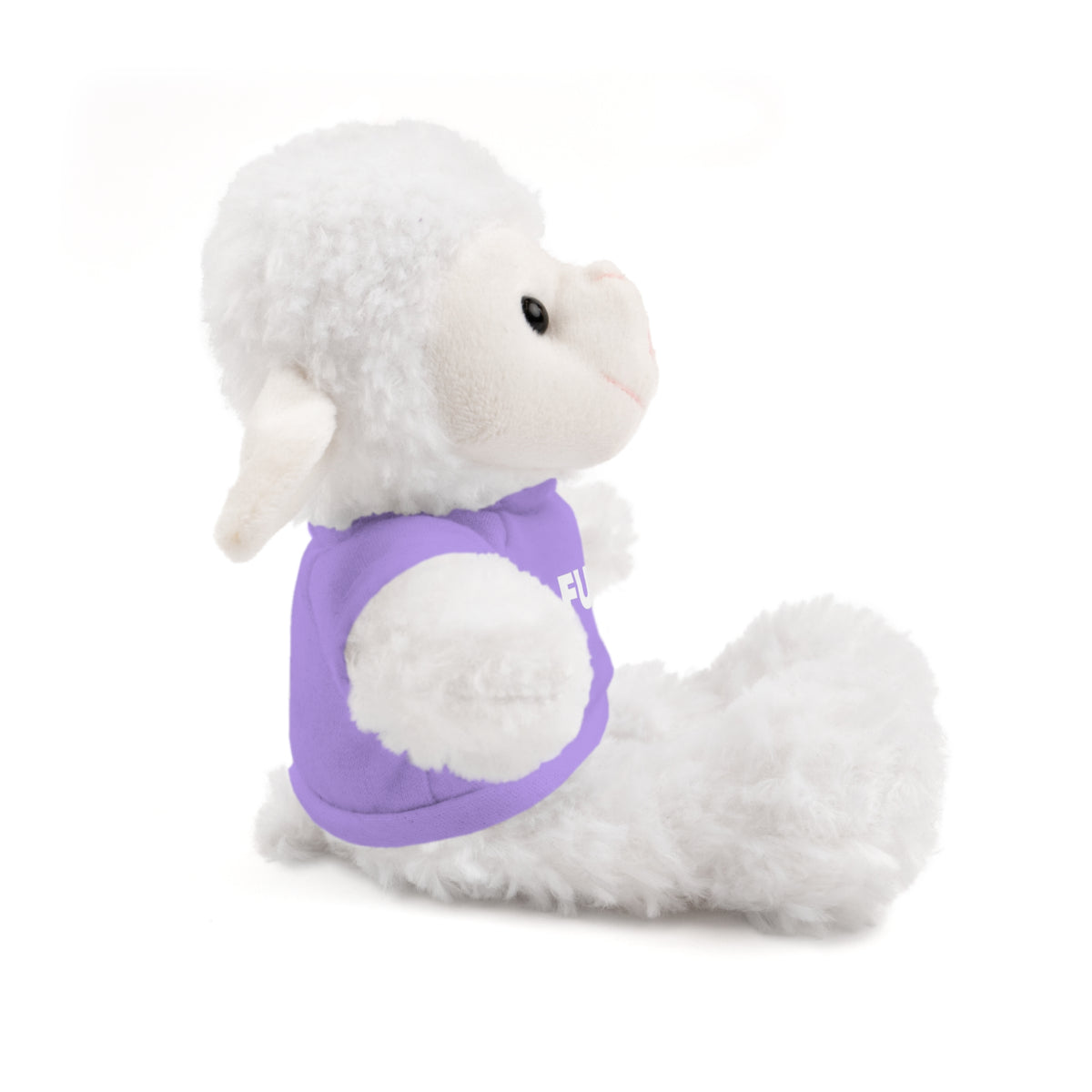 Plush Bear with #Fukiswrongwitchu Cancer Tee