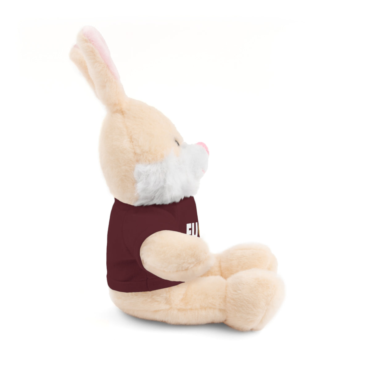 Plush Bear with #Fukiswrongwitchu Cancer Tee