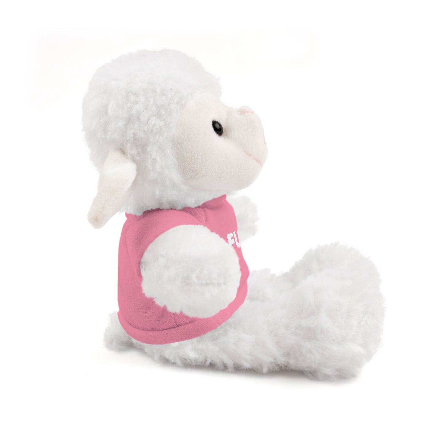 Plush Bear with #Fukiswrongwitchu Cancer Tee