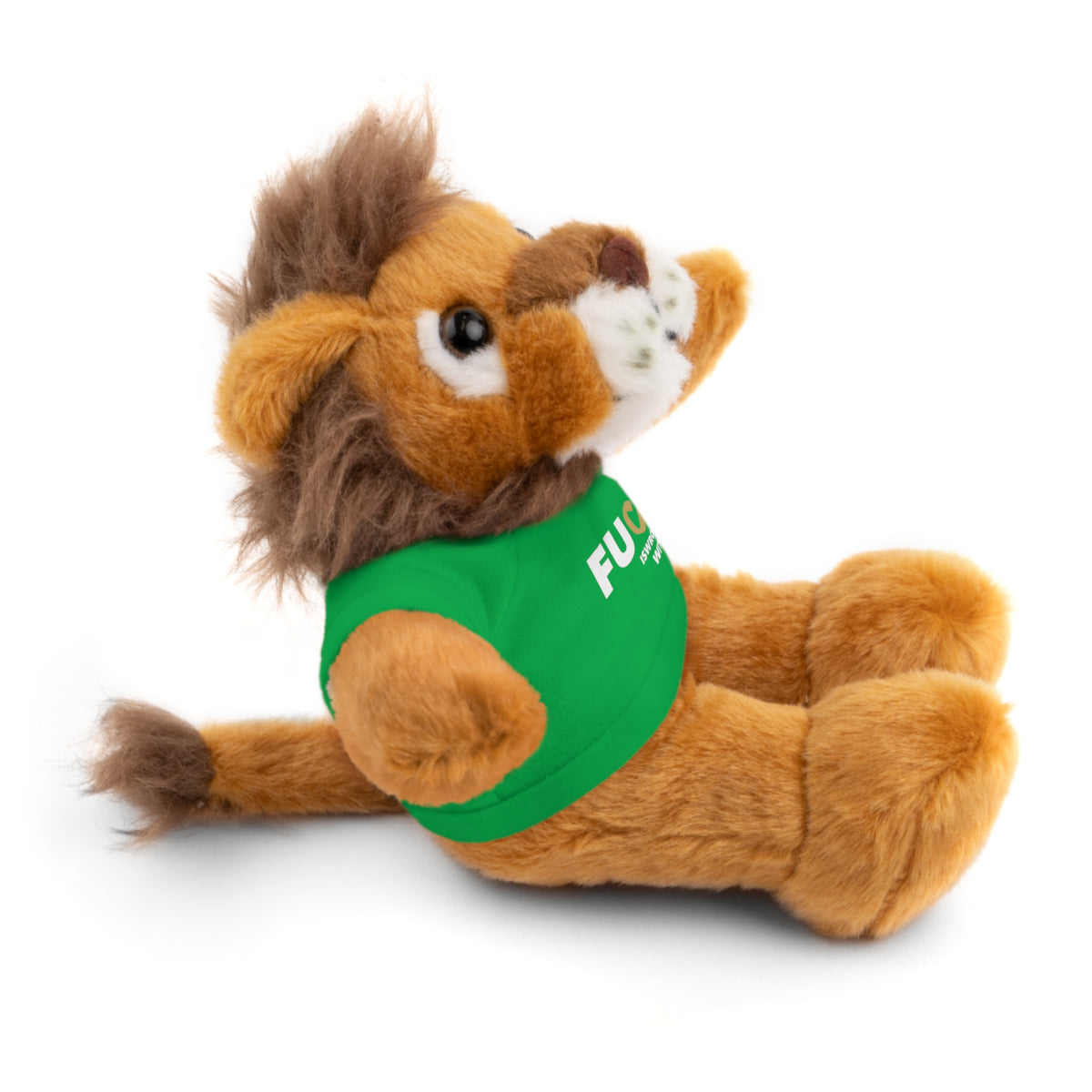 Plush Bear with #Fukiswrongwitchu Cancer Tee