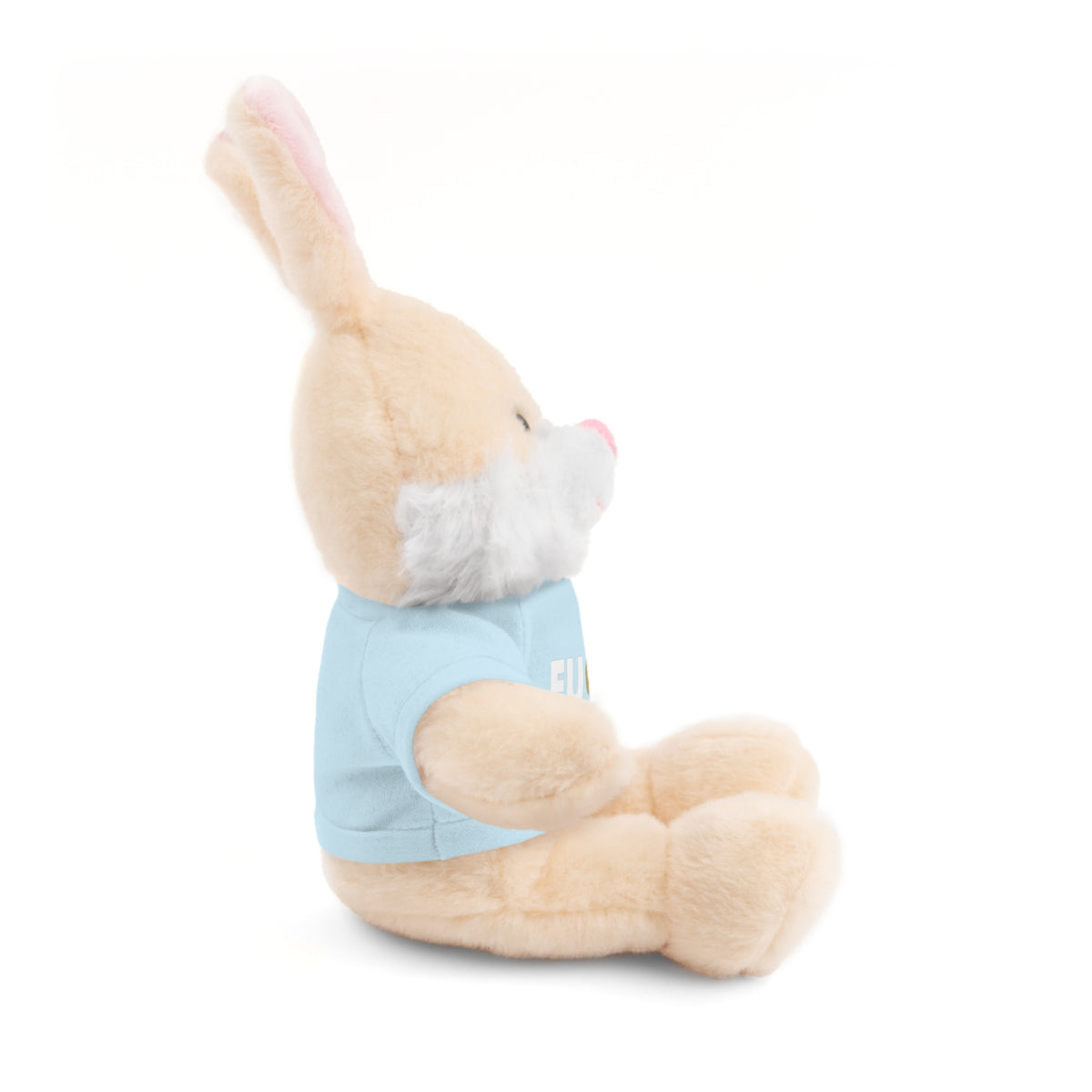 Plush Bear with #Fukiswrongwitchu Cancer Tee
