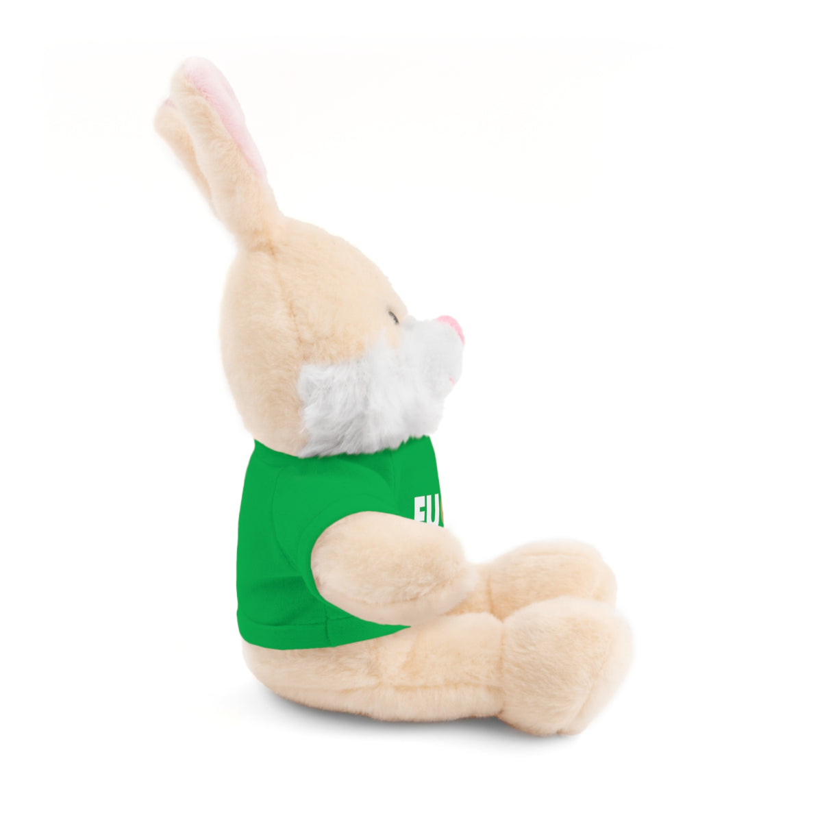 Plush Bear with #Fukiswrongwitchu Cancer Tee