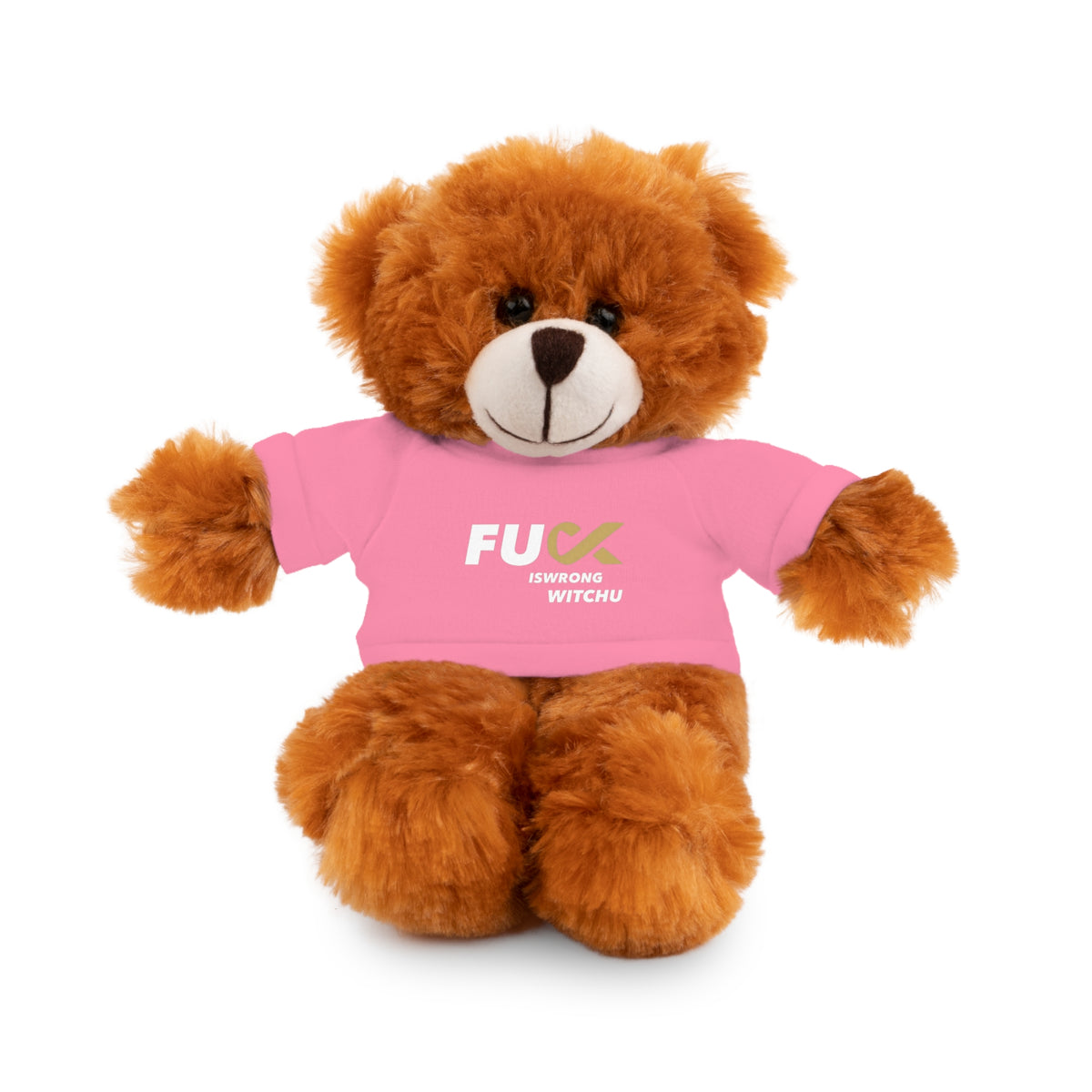 Plush Bear with #Fukiswrongwitchu Cancer Tee