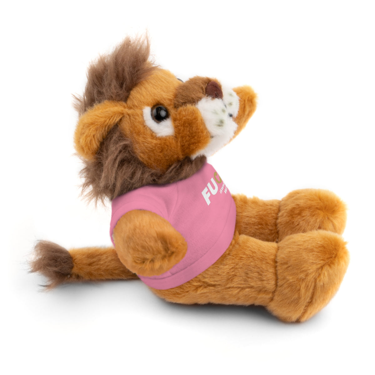 Plush Bear with #Fukiswrongwitchu Cancer Tee