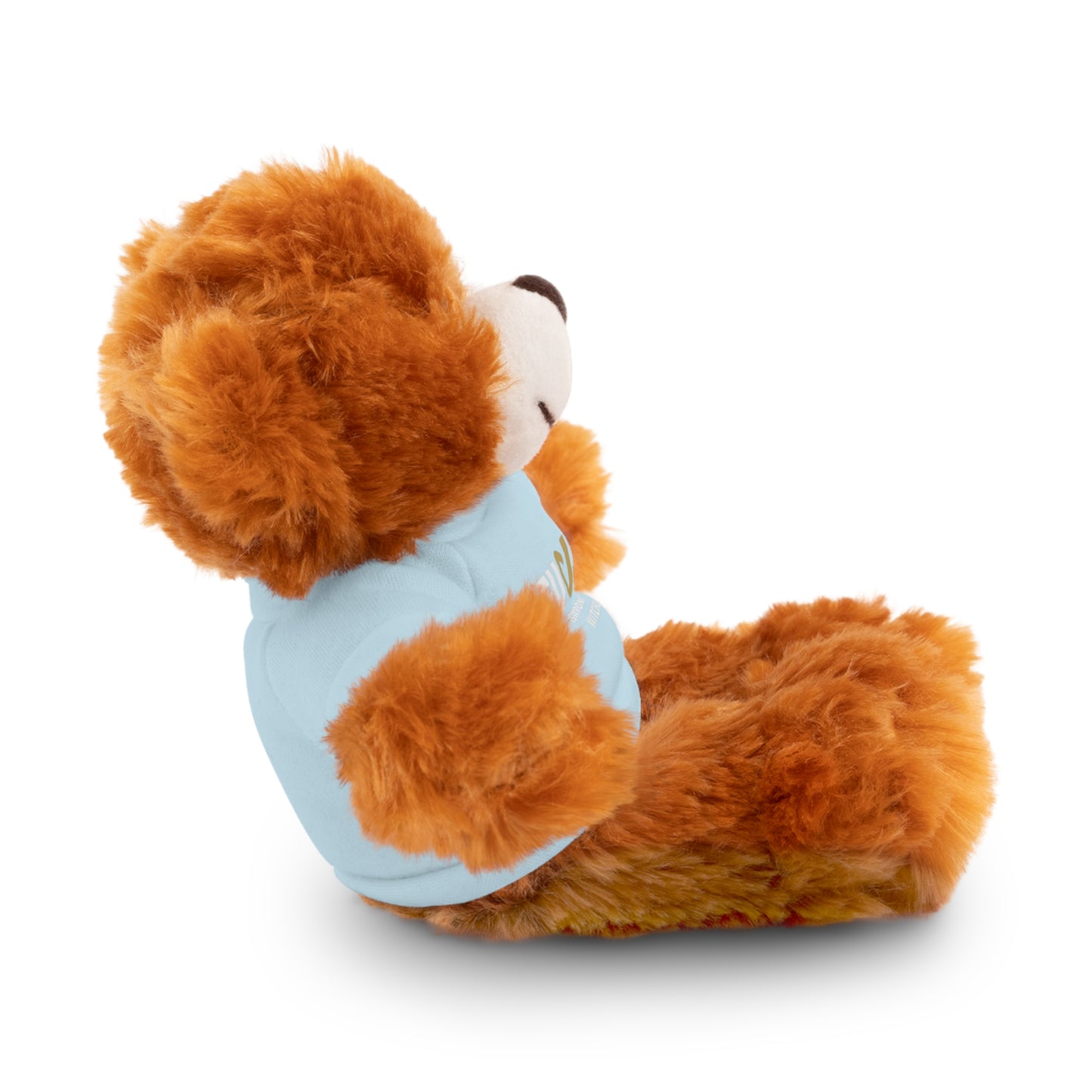 Plush Bear with #Fukiswrongwitchu Cancer Tee