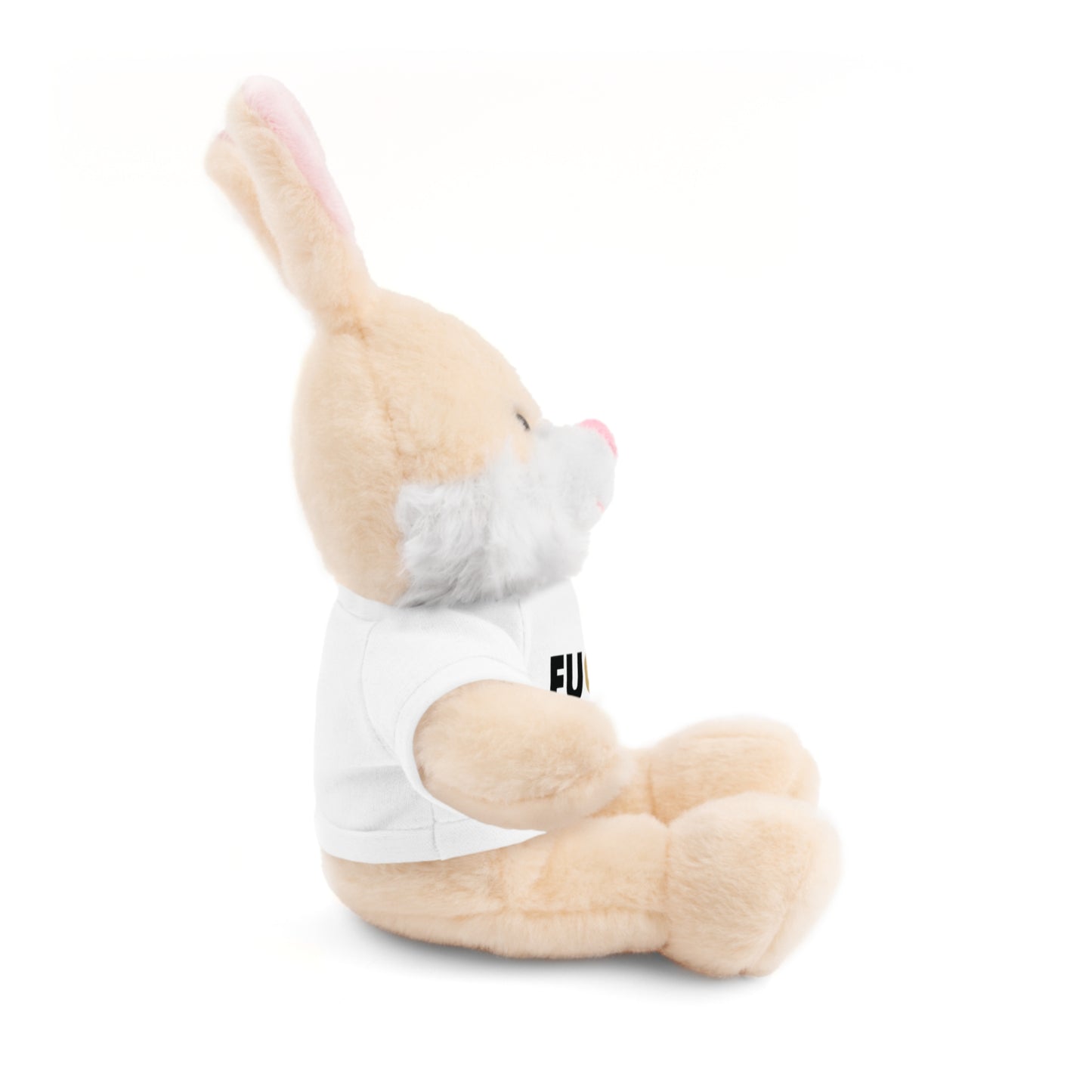Plush Bear with #Fukiswrongwitchu Cancer Tee