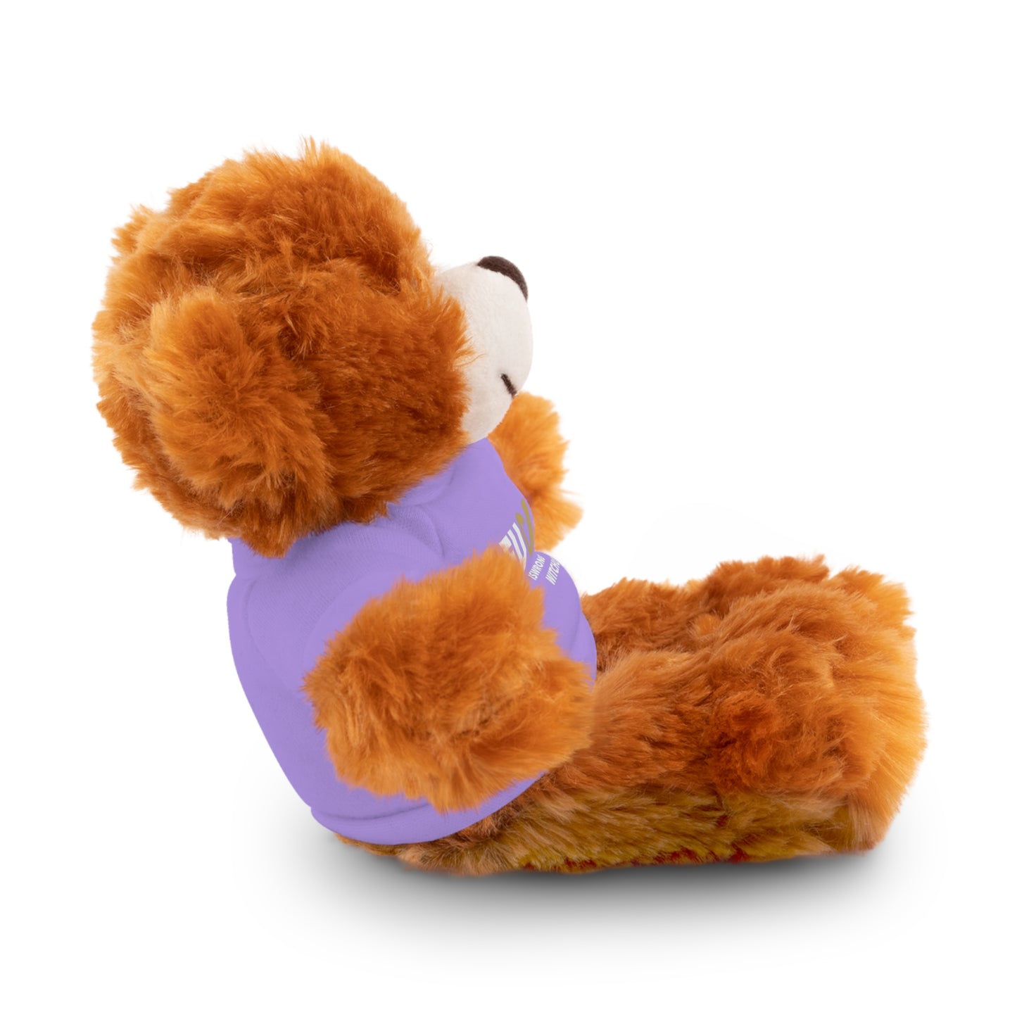 Plush Bear with #Fukiswrongwitchu Cancer Tee
