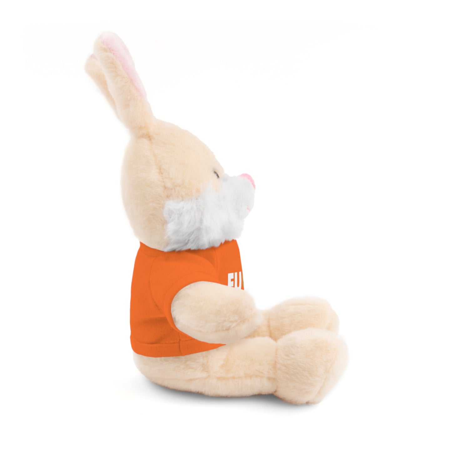 Plush Bear with #Fukiswrongwitchu Cancer Tee