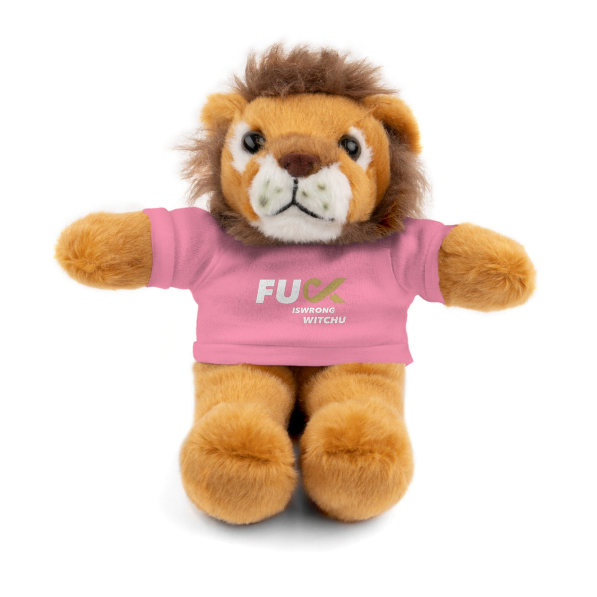 Plush Bear with #Fukiswrongwitchu Cancer Tee