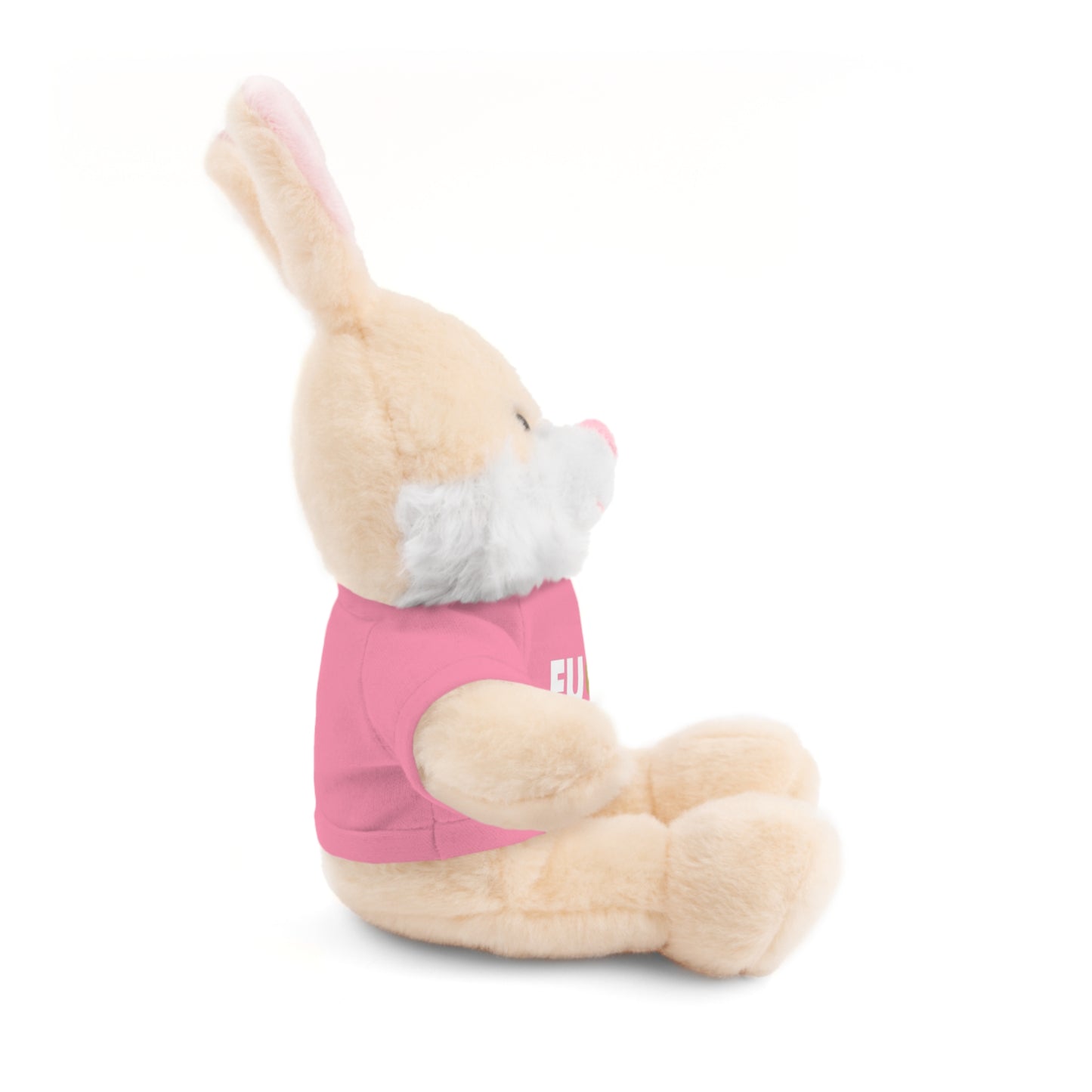 Plush Bear with #Fukiswrongwitchu Cancer Tee