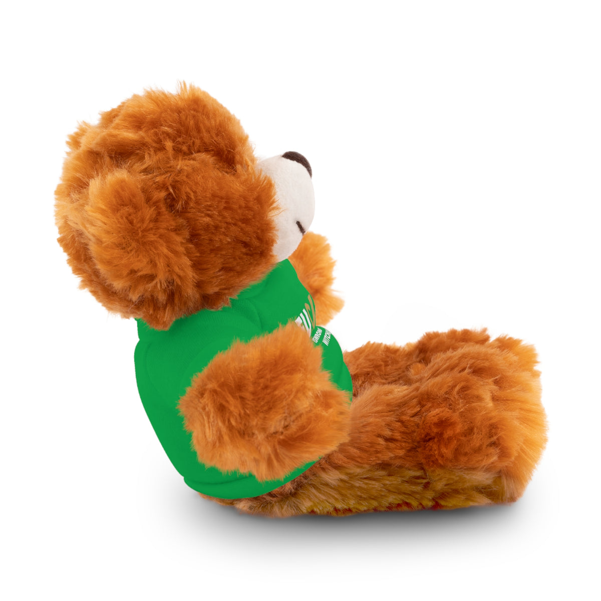 Plush Bear with #Fukiswrongwitchu Cancer Tee