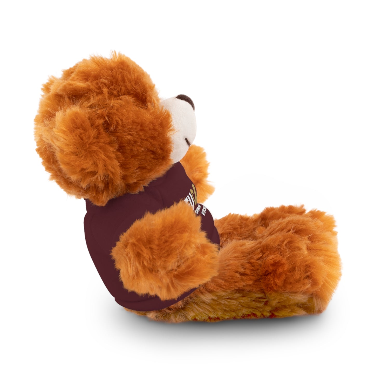 Plush Bear with #Fukiswrongwitchu Cancer Tee