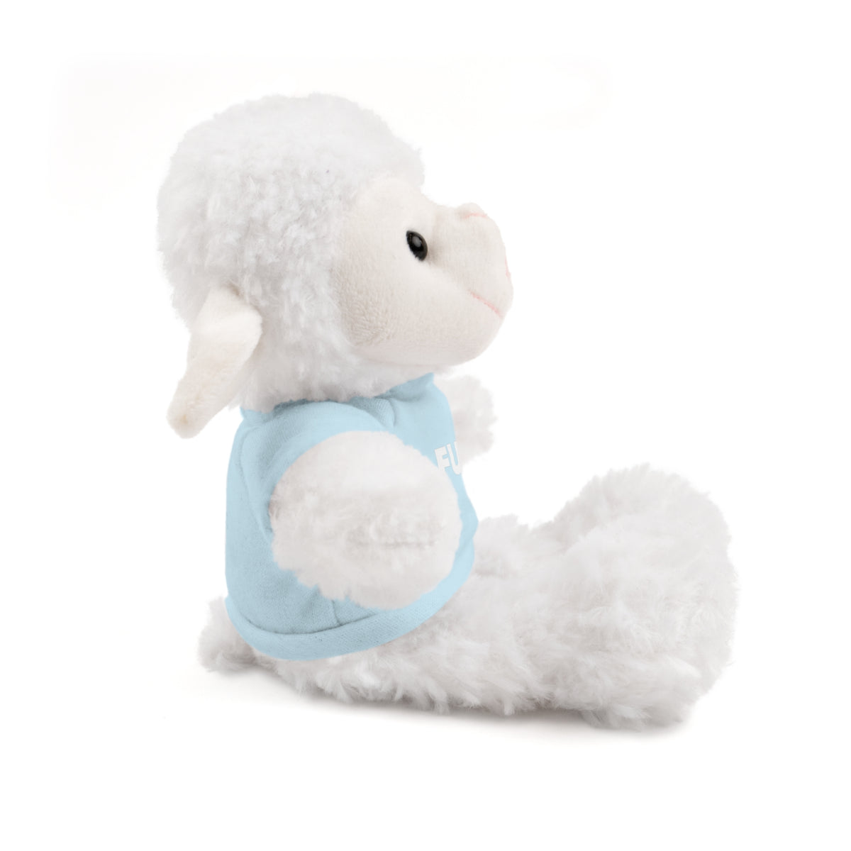 Plush Bear with #Fukiswrongwitchu Cancer Tee