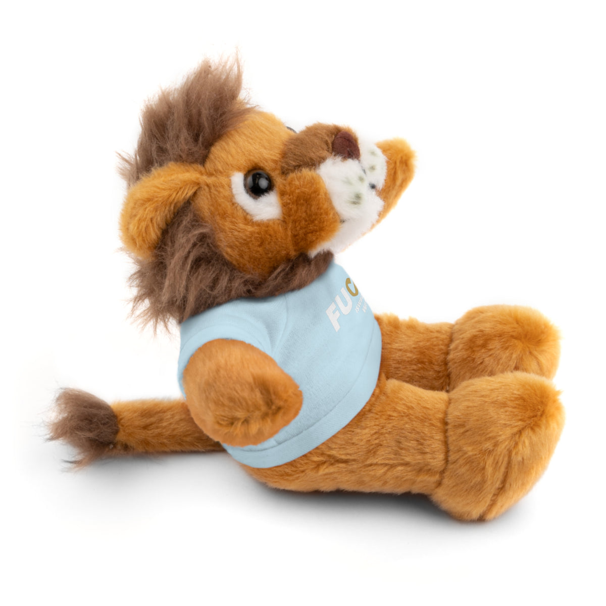 Plush Bear with #Fukiswrongwitchu Cancer Tee