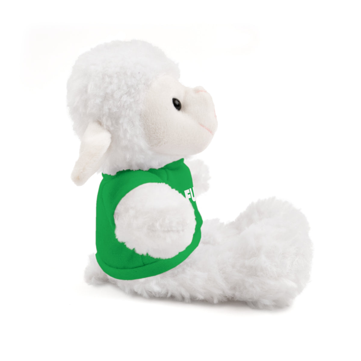 Plush Bear with #Fukiswrongwitchu Cancer Tee