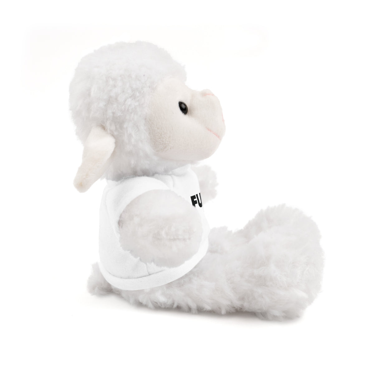 Plush Bear with #Fukiswrongwitchu Cancer Tee