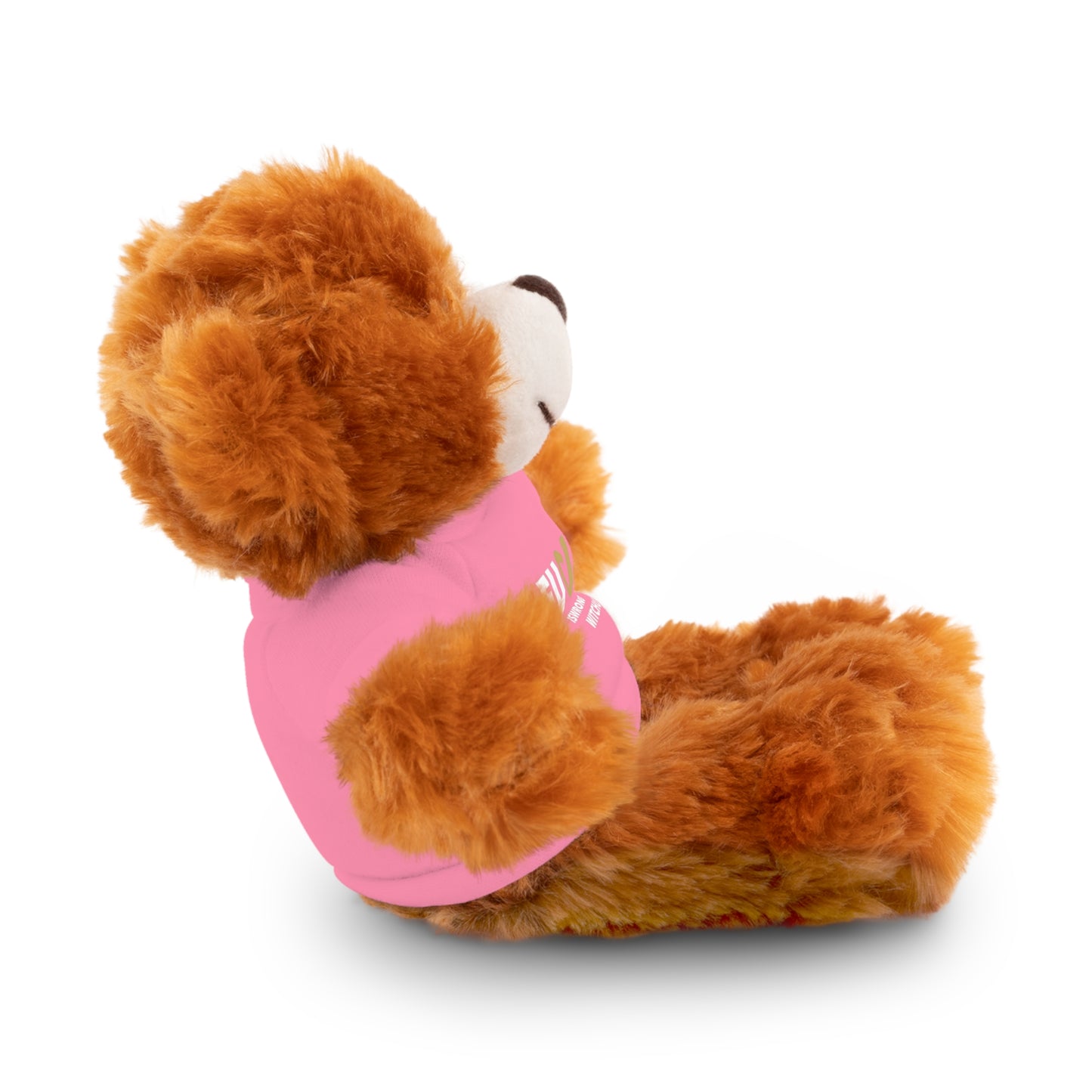 Plush Bear with #Fukiswrongwitchu Cancer Tee