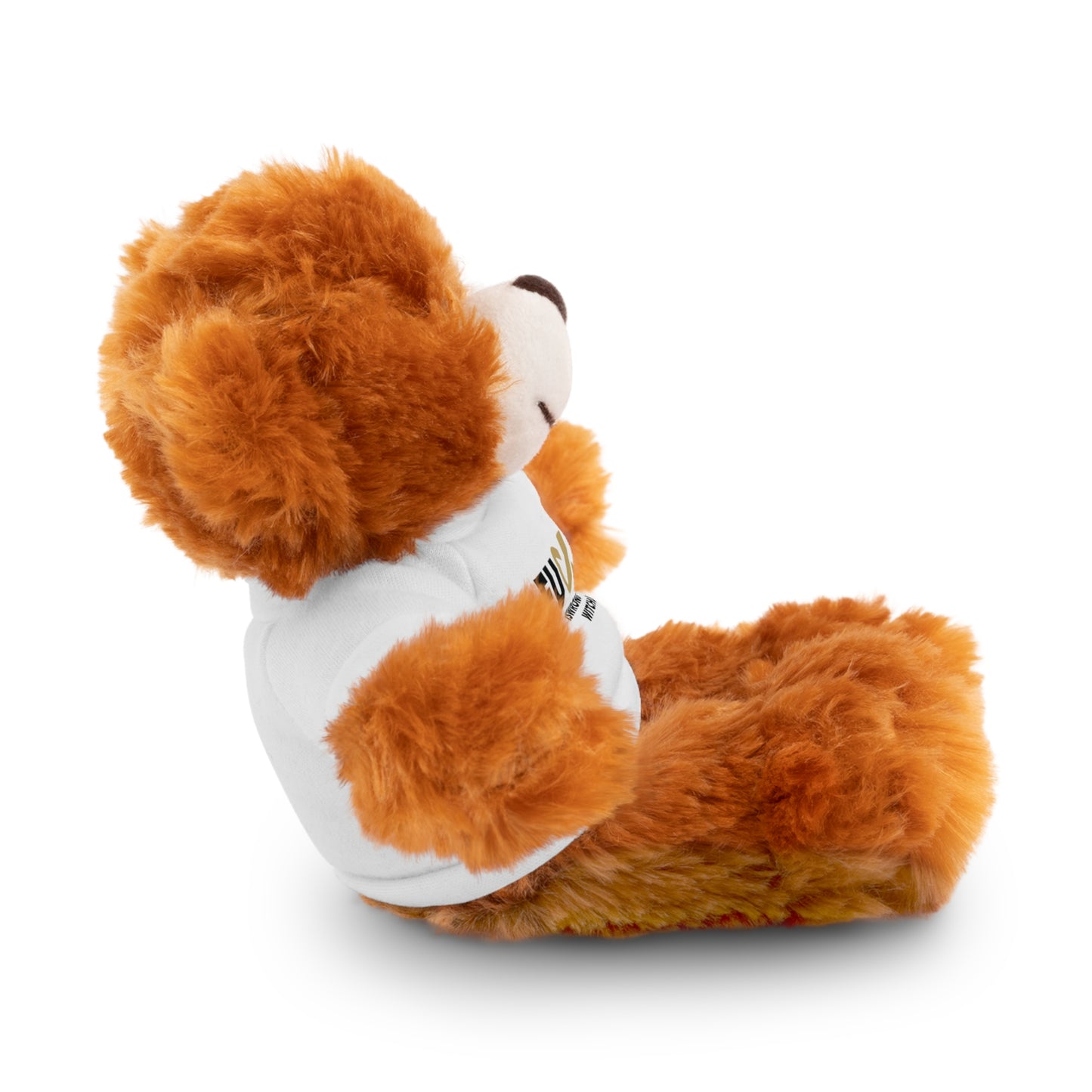 Plush Bear with #Fukiswrongwitchu Cancer Tee