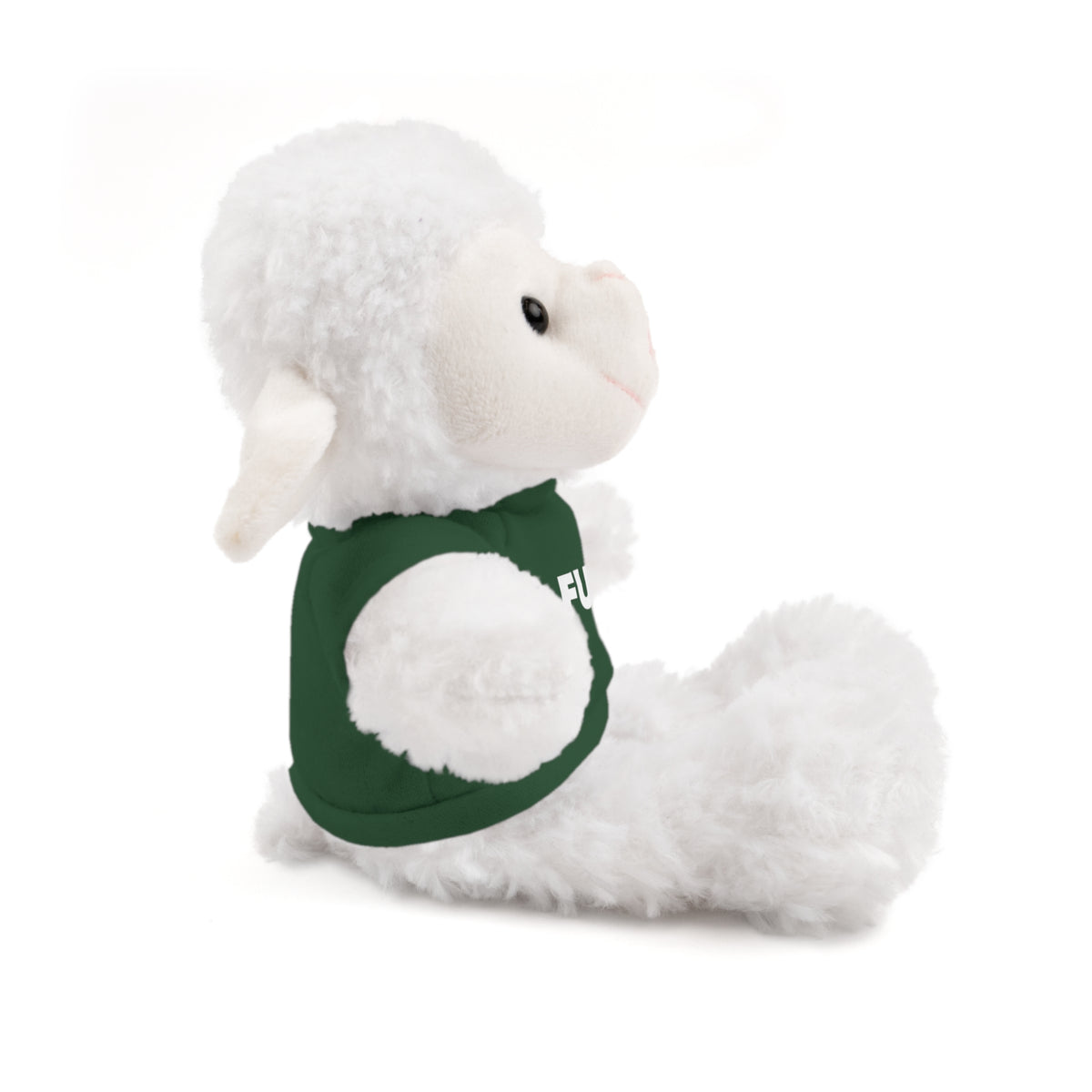 Plush Bear with #Fukiswrongwitchu Cancer Tee