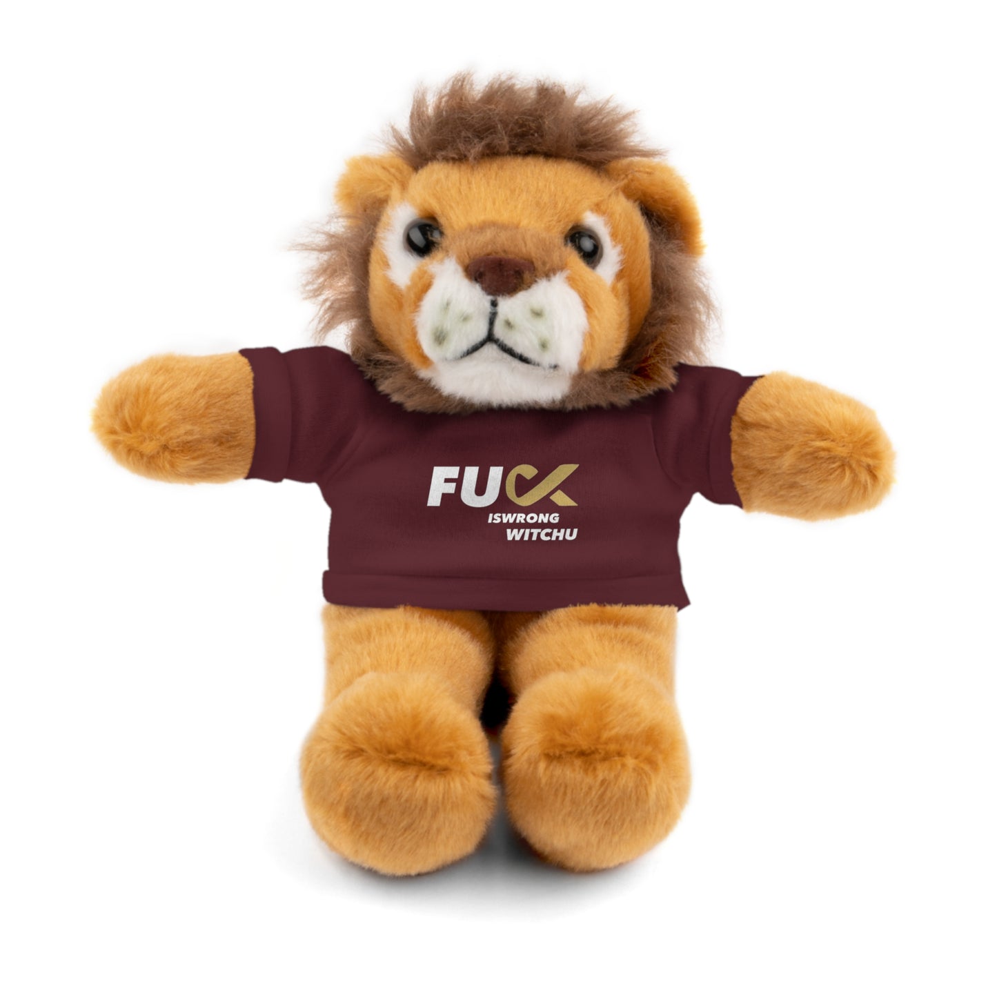 Plush Bear with #Fukiswrongwitchu Cancer Tee