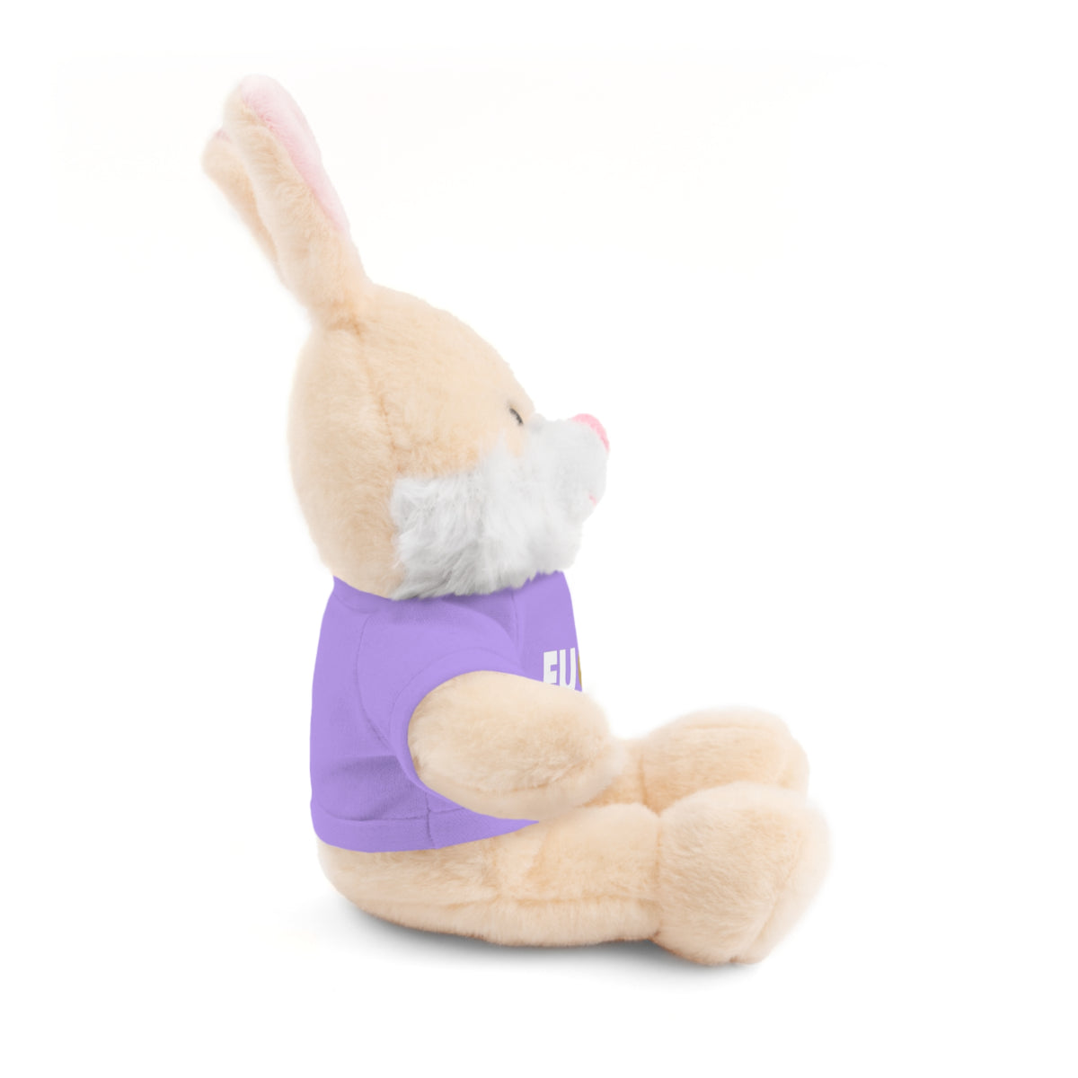 Plush Bear with #Fukiswrongwitchu Cancer Tee