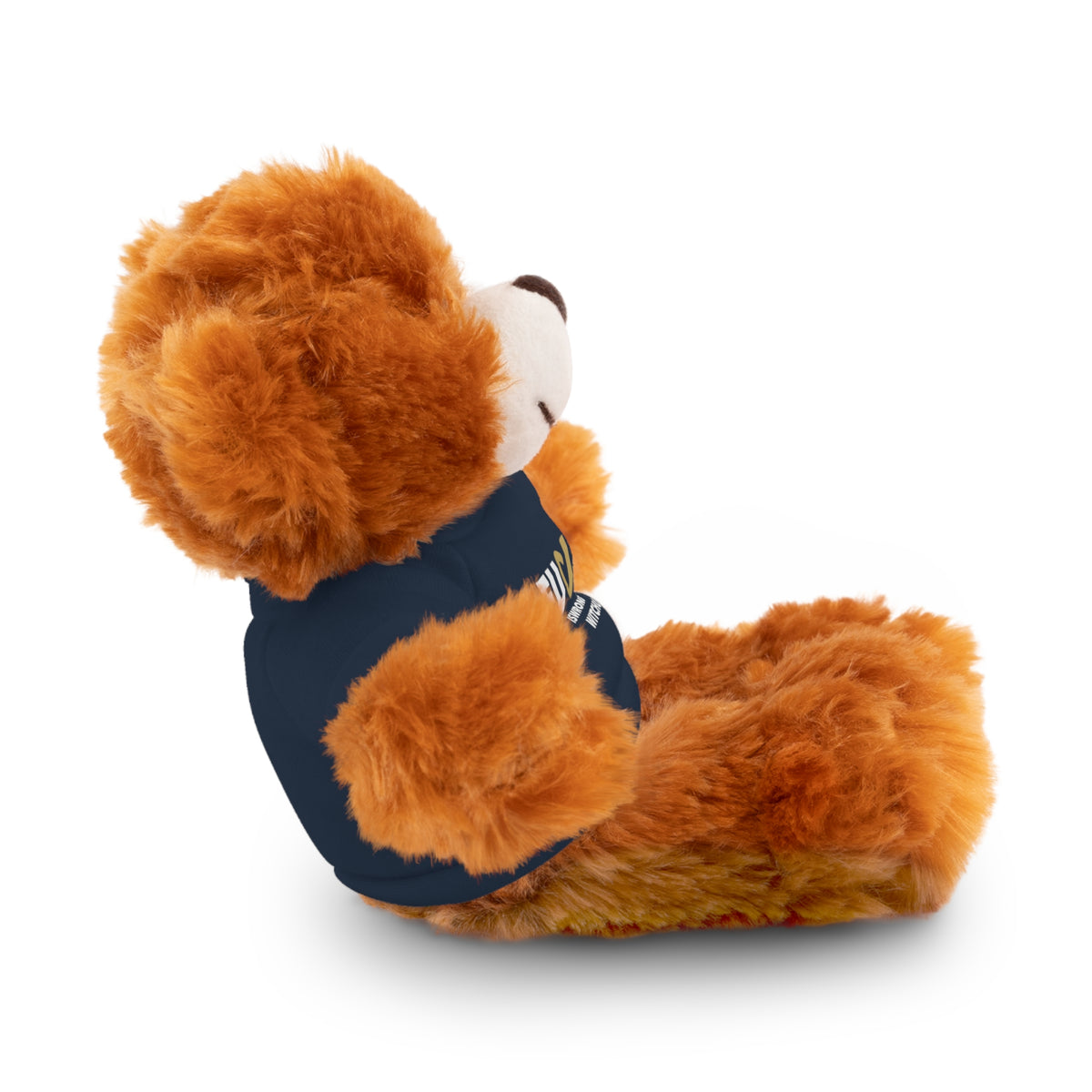 Plush Bear with #Fukiswrongwitchu Cancer Tee