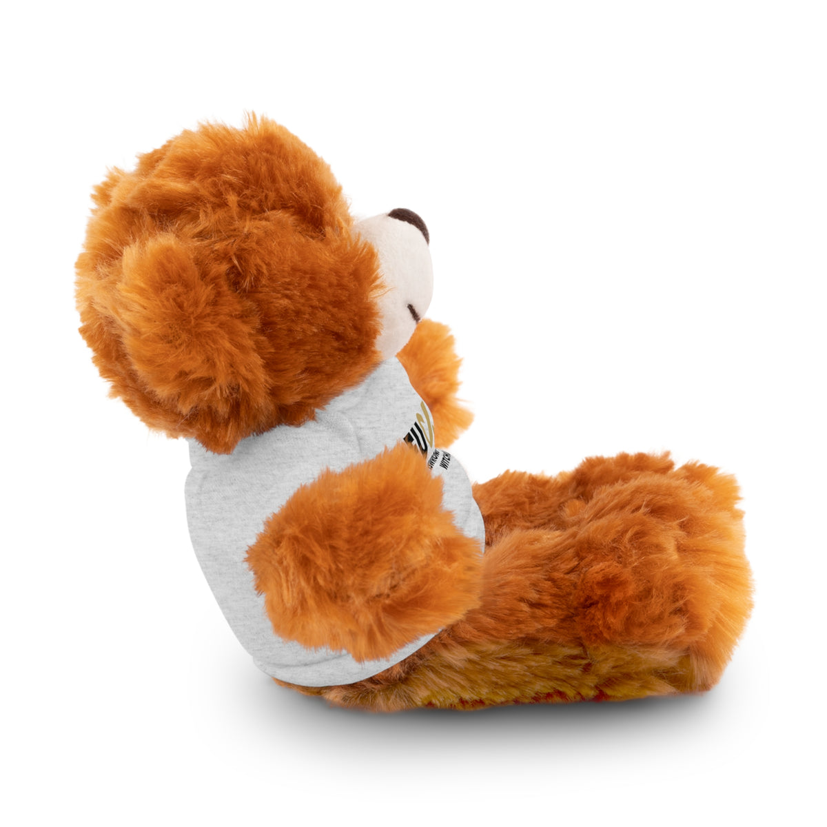 Plush Bear with #Fukiswrongwitchu Cancer Tee