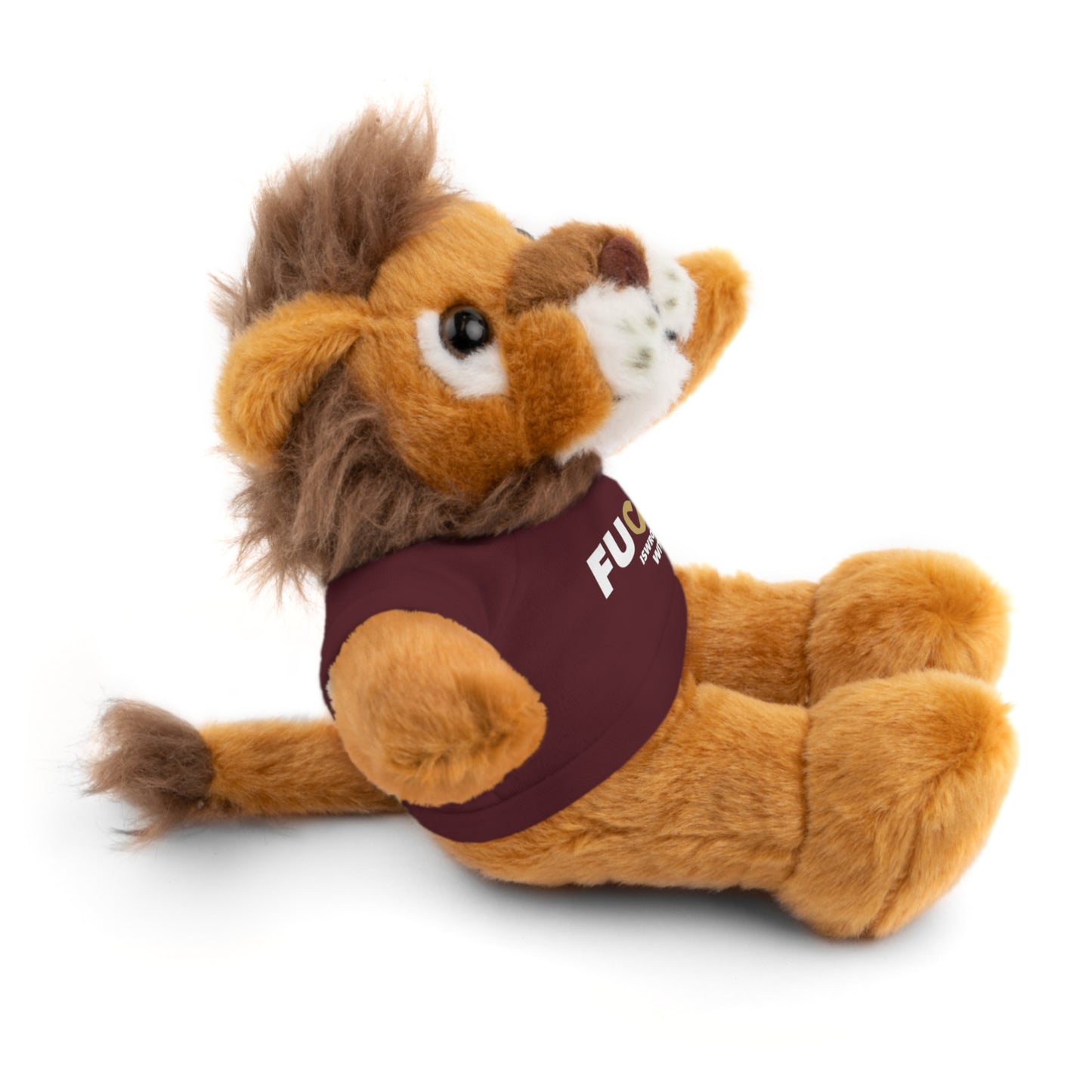 Plush Bear with #Fukiswrongwitchu Cancer Tee