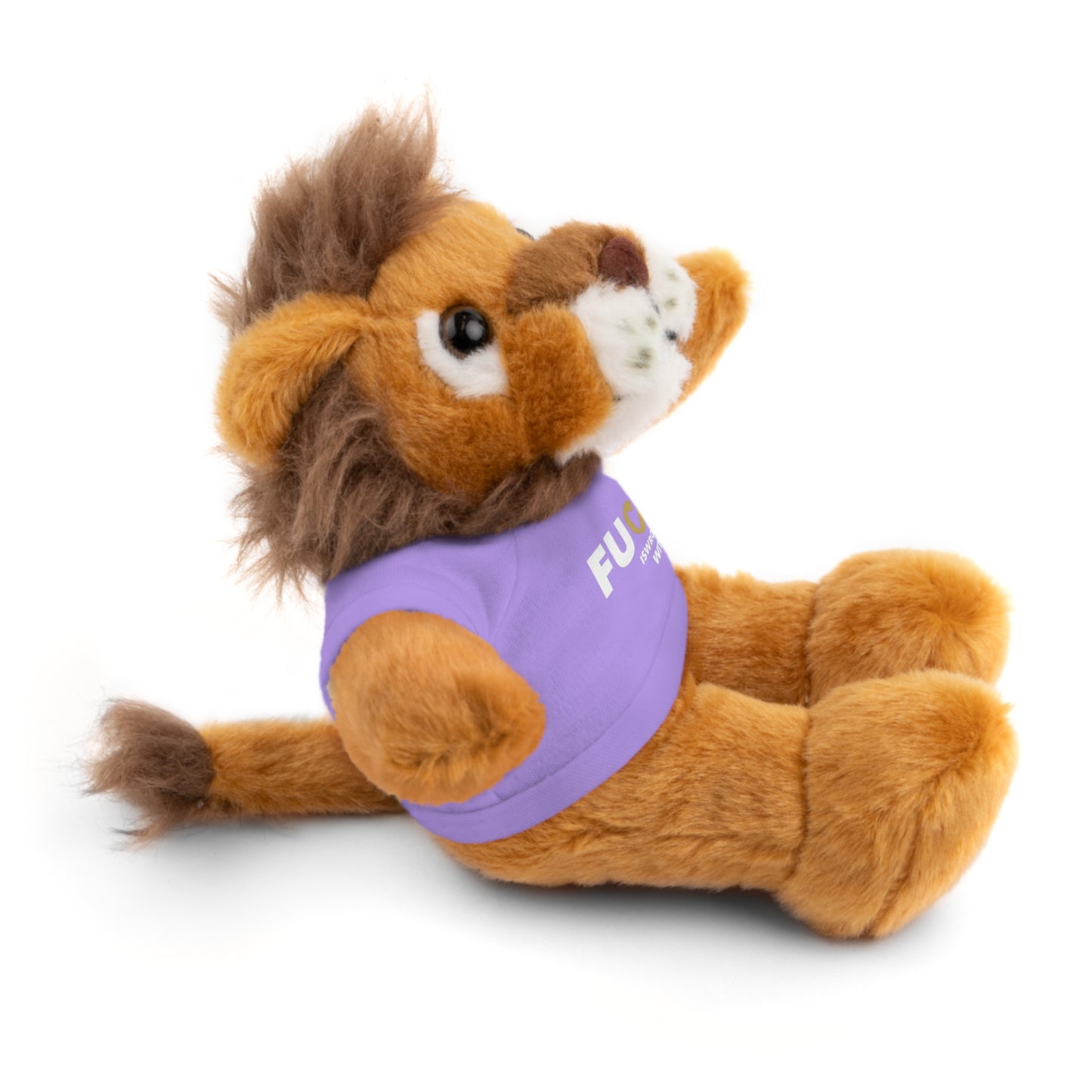 Plush Bear with #Fukiswrongwitchu Cancer Tee