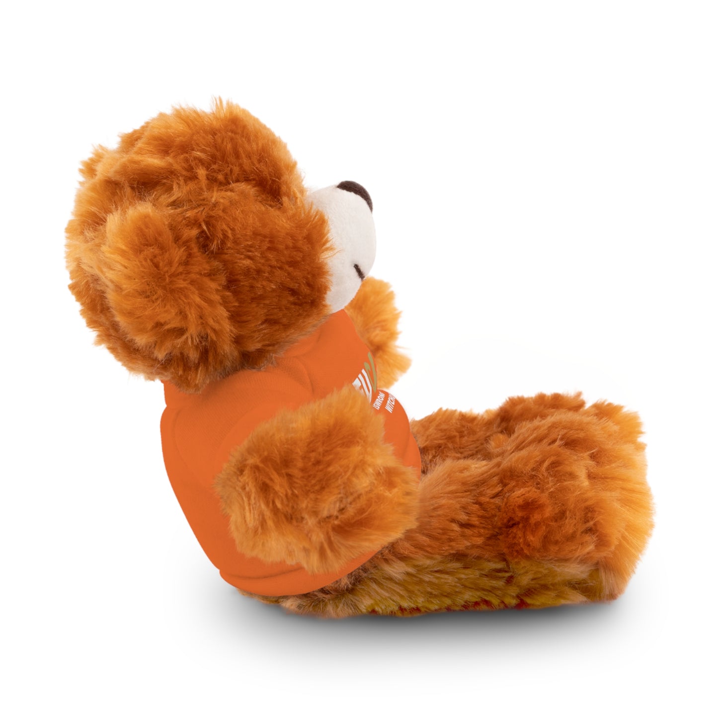 Plush Bear with #Fukiswrongwitchu Cancer Tee