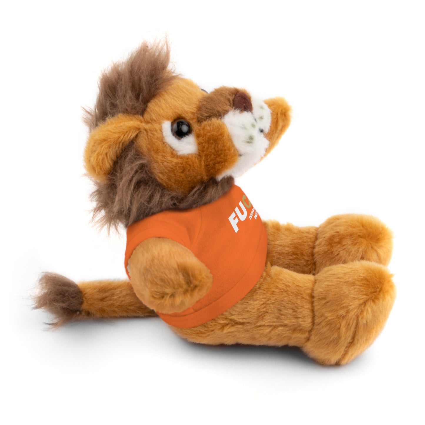 Plush Bear with #Fukiswrongwitchu Cancer Tee