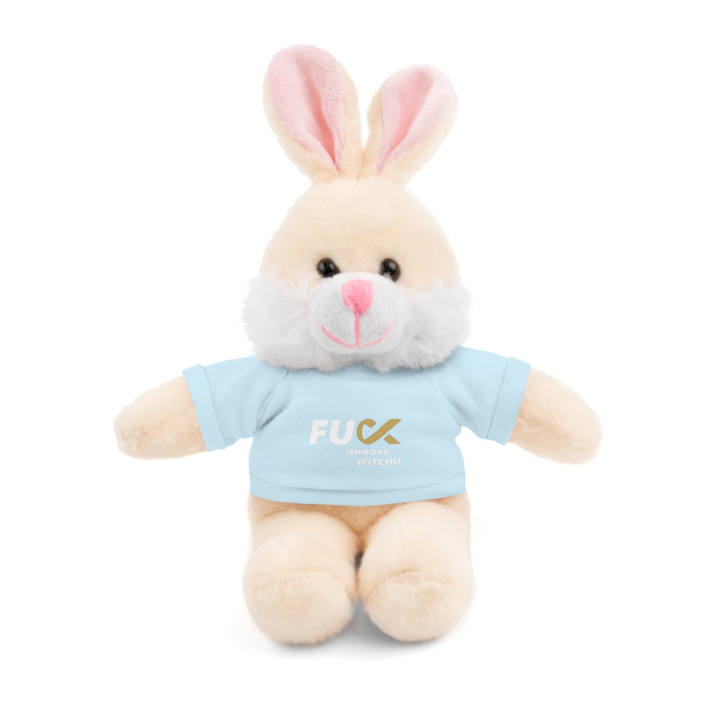 Plush Bear with #Fukiswrongwitchu Cancer Tee