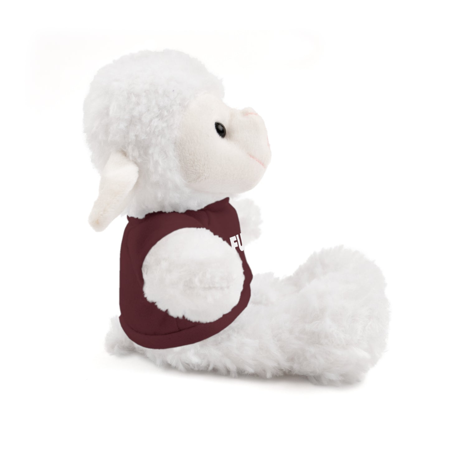 Plush Bear with #Fukiswrongwitchu Cancer Tee