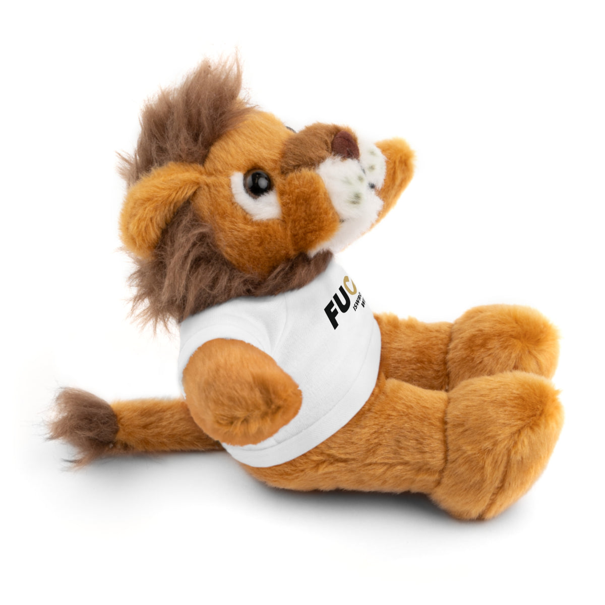 Plush Bear with #Fukiswrongwitchu Cancer Tee